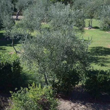 Sole Apartament